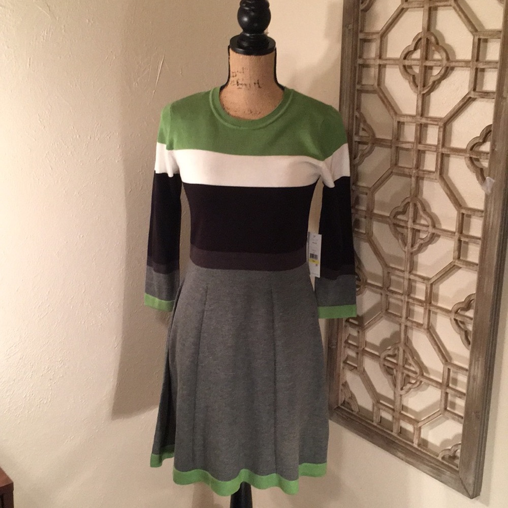 Fit and Flare Sweater Dress